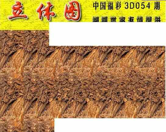 24054期: 3D蝴蝶世家蝴蝶彩图