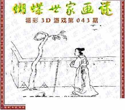 24043期: 3D蝴蝶世家蝴蝶彩图