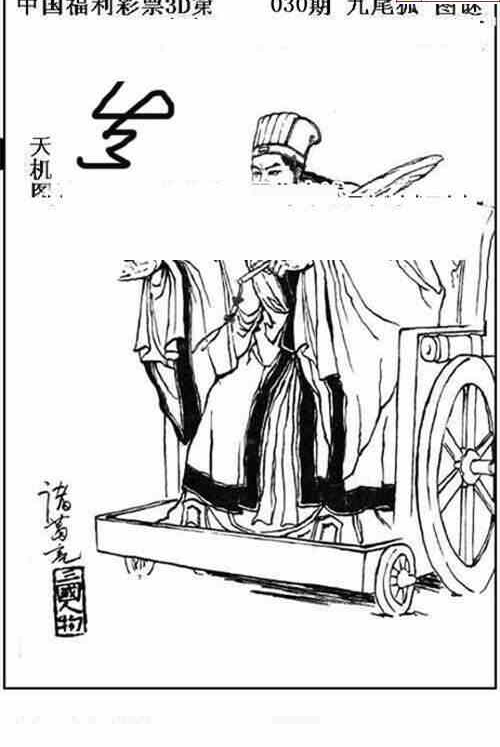 24030期: 三毛3D精品图谜