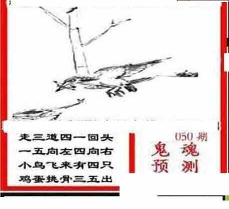 24050期: 三毛3D精品图谜