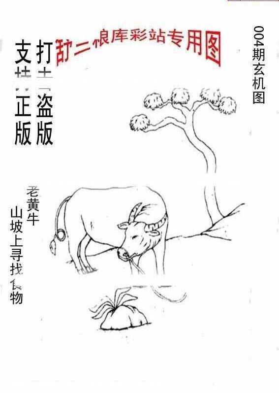 24004期: 老村长福彩3D天天图谜