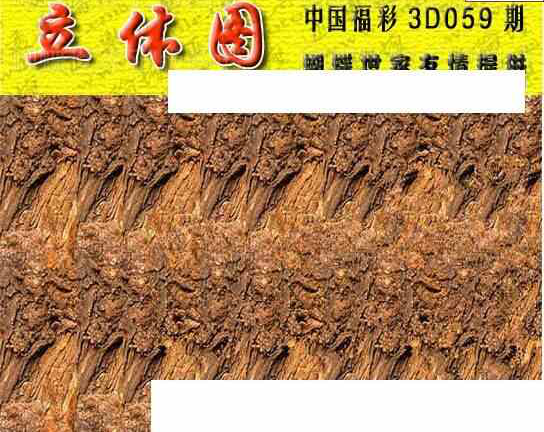 24059期: 3D蝴蝶世家蝴蝶彩图