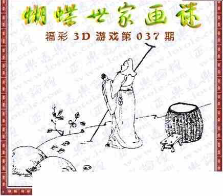 24037期: 3D蝴蝶世家蝴蝶彩图