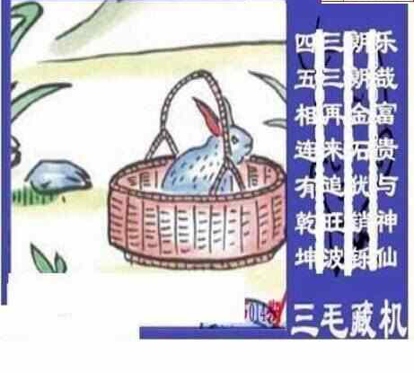 24014期: 三毛3D精品图谜