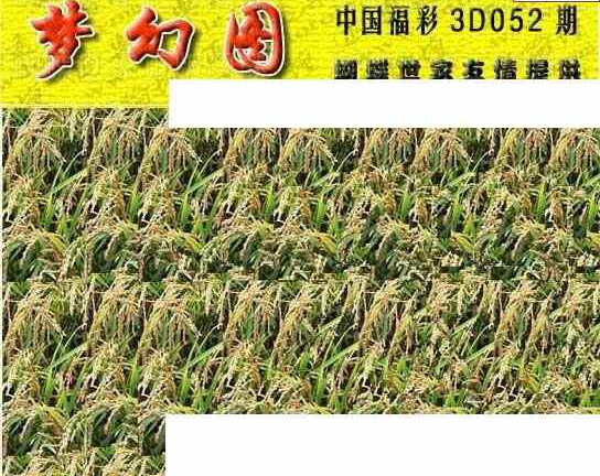 24052期: 3D蝴蝶世家蝴蝶彩图