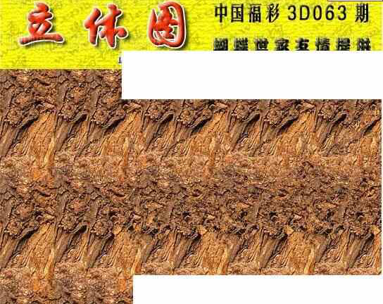 24063期: 3D蝴蝶世家蝴蝶彩图