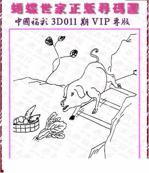 24011期: 3D蝴蝶世家蝴蝶彩图