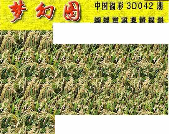 24042期: 3D蝴蝶世家蝴蝶彩图