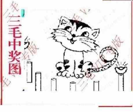 24063期: 三毛3D精品图谜