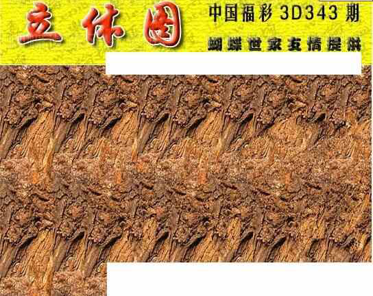 23343期: 3D蝴蝶世家蝴蝶彩图