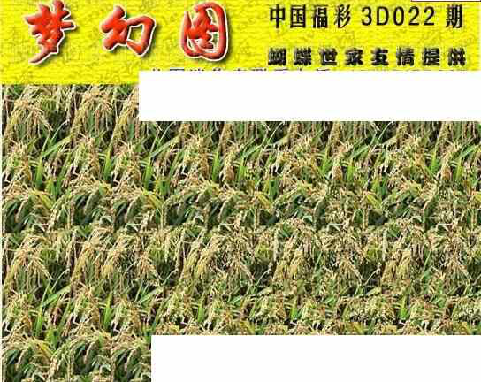 24022期: 3D蝴蝶世家蝴蝶彩图