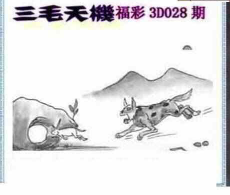 24028期: 三毛3D精品图谜