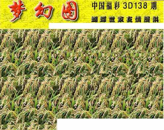 23138期: 3D蝴蝶世家蝴蝶彩图