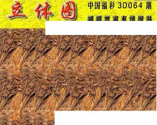 24064期: 3D蝴蝶世家蝴蝶彩图