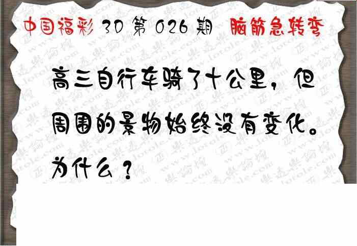 24026期: 3D蝴蝶世家蝴蝶彩图