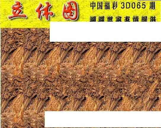 24065期: 3D蝴蝶世家蝴蝶彩图