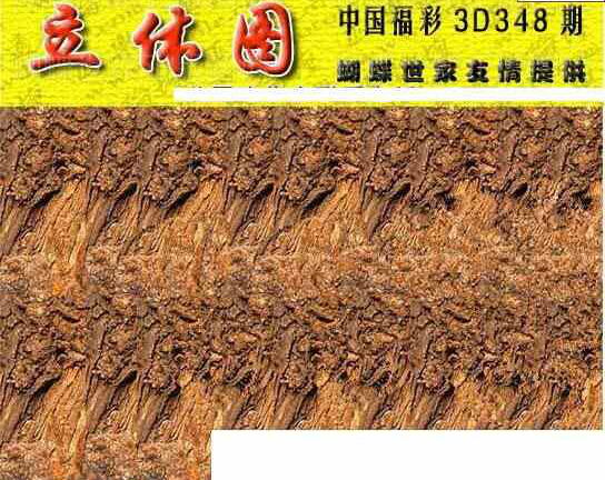 23348期: 3D蝴蝶世家蝴蝶彩图