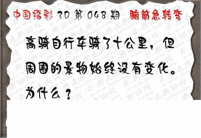 24048期: 3D蝴蝶世家蝴蝶彩图