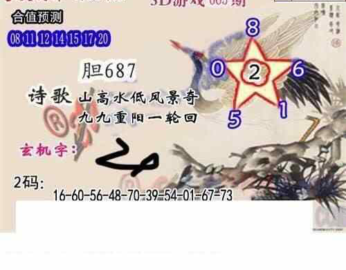 24065期: 白老3D杀码图版