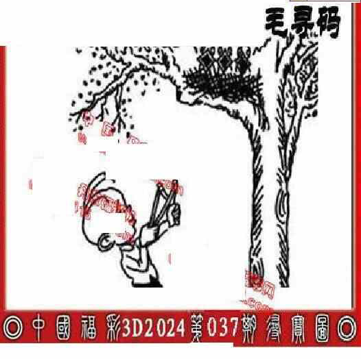 24037期: 福彩3D丹东全图分析