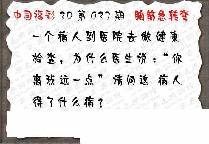 24037期: 3D蝴蝶世家蝴蝶彩图