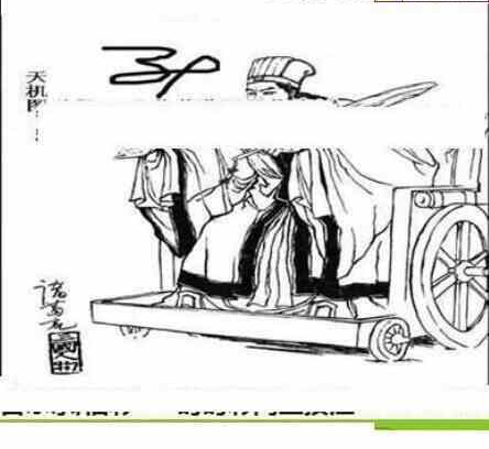 24011期: 三毛3D精品图谜