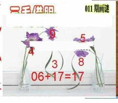 24011期: 三毛3D精品图谜