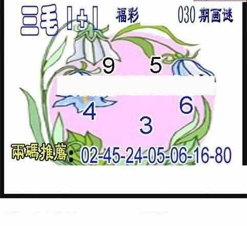 24030期: 三毛3D精品图谜