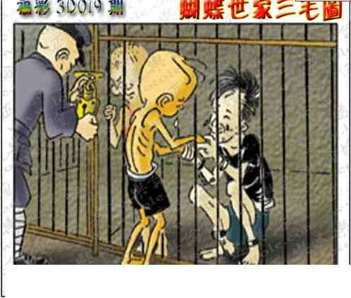 24019期: 3D蝴蝶世家蝴蝶彩图