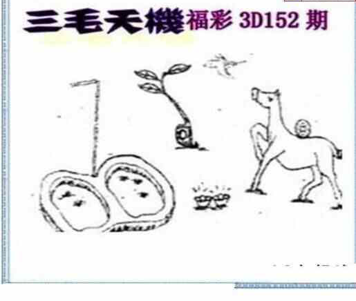 23152期: 三毛3D精品图谜