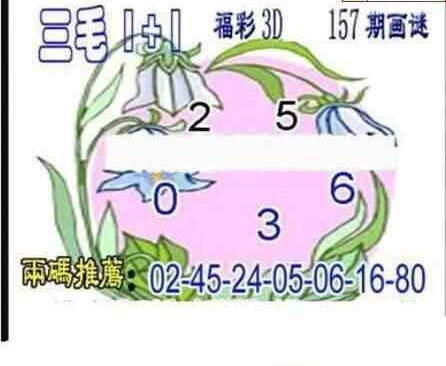 23157期: 三毛3D精品图谜