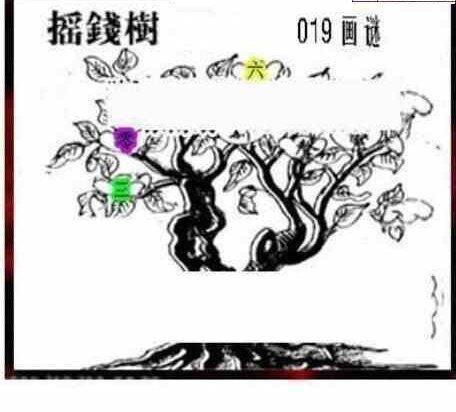 24019期: 三毛3D精品图谜