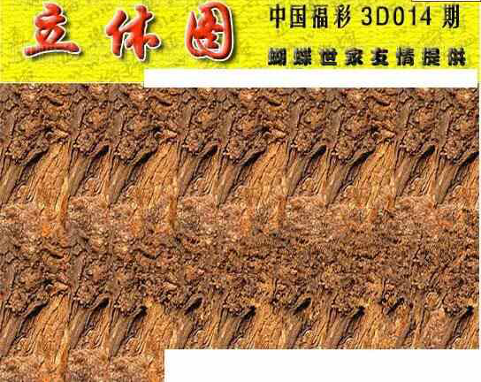 24014期: 3D蝴蝶世家蝴蝶彩图