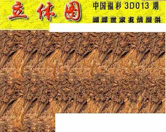 24013期: 3D蝴蝶世家蝴蝶彩图