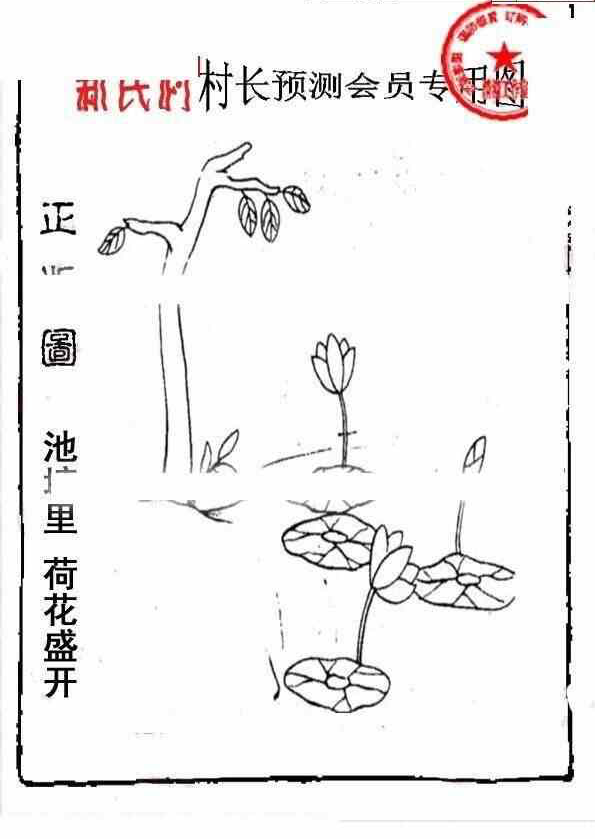 24021期: 老村长福彩3D天天图谜