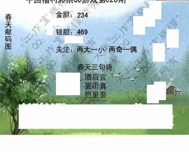 24028期: 大兵福彩3D黄金报图版