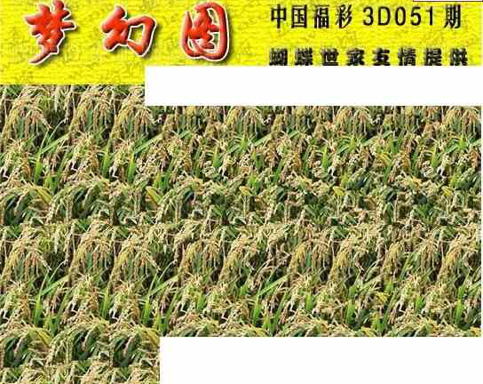 24051期: 3D蝴蝶世家蝴蝶彩图