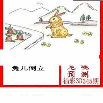 23345期: 白老3D杀码图版