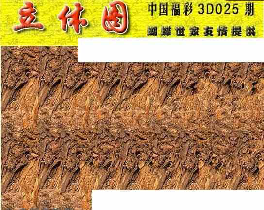 24025期: 3D蝴蝶世家蝴蝶彩图