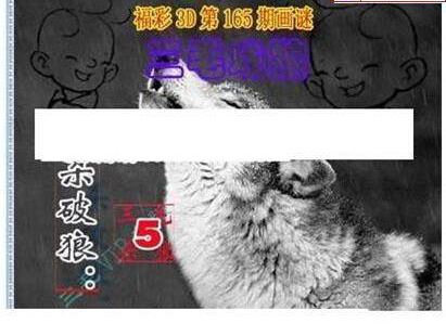 23165期: 三毛3D精品图谜