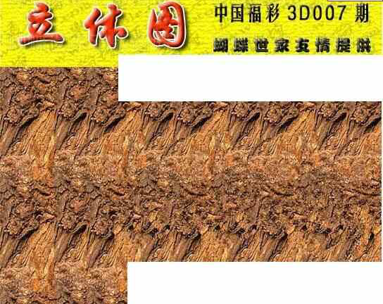 24007期: 3D蝴蝶世家蝴蝶彩图