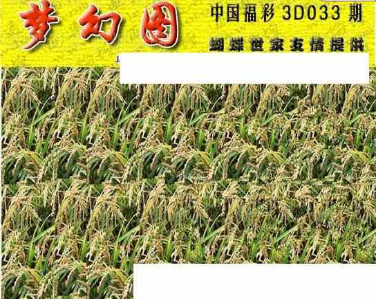 24033期: 3D蝴蝶世家蝴蝶彩图