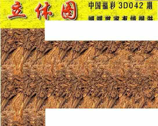 24042期: 3D蝴蝶世家蝴蝶彩图