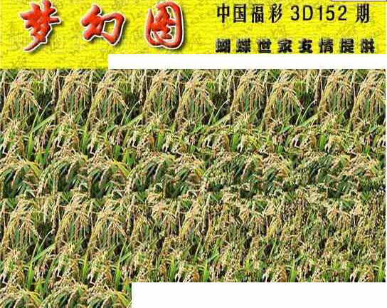 23152期: 3D蝴蝶世家蝴蝶彩图