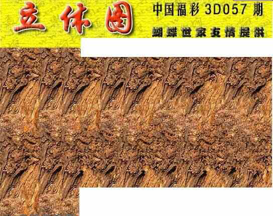 24057期: 3D蝴蝶世家蝴蝶彩图