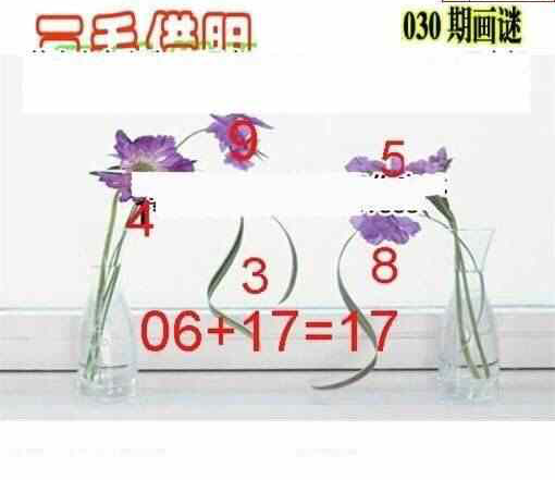 24030期: 三毛3D精品图谜