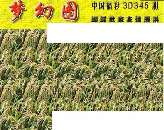 23345期: 3D蝴蝶世家蝴蝶彩图