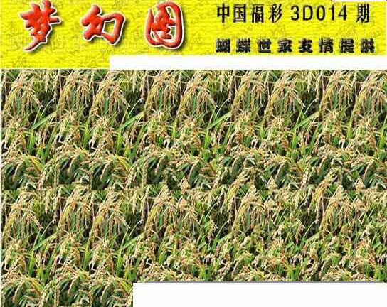 24014期: 3D蝴蝶世家蝴蝶彩图