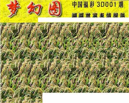 24001期: 3D蝴蝶世家蝴蝶彩图