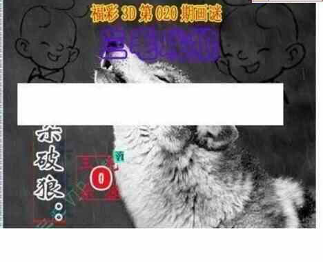 24020期: 三毛3D精品图谜